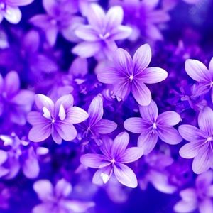 Meet your Posher, Beth-zaryah